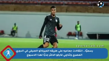 رسميًا.. انتقالات جماعية على طريقة الميركاتو الصيفي في الدوري المصري وثنائي فاركو الأكثر جذبًا لهذا الأسبوع